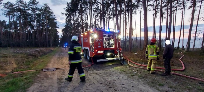 Tuż po godzinie 18.00 doszło do pożaru lasu w okolicach miejscowości Wieczyn w gminie Czermin