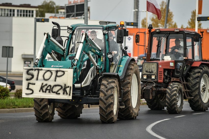 Leszno. Rolniczy protest na drogach także w mieście. Do miasta wjechał szpaler 60 ciągników blokując ruch na rondach [ZDJĘCIA]