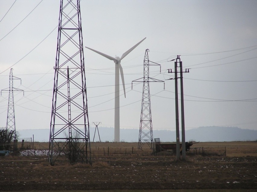 Spór o prąd: Z elektrowni atomowych czy z wiatrowych?
