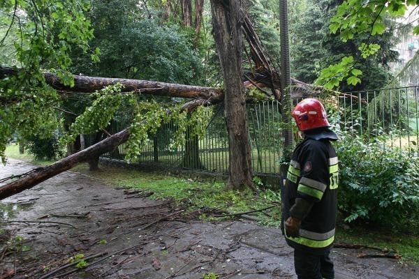 Prognoza pogody na 14 i 15 czerwca. Możliwe burze