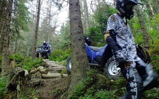 Złapać miłośników quadów w lesie to sztuka. Udało się to m.in. pracownikom Gorczańskiego Parku Narodowego. Zatrzymano wówczas qudawców, którzy zniszczyli dopiero co odnowiony szlak turystyczny.