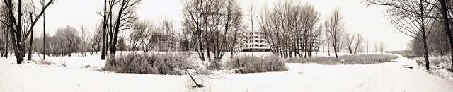 Nagrodzone zdjęcie - Park Nadolnik