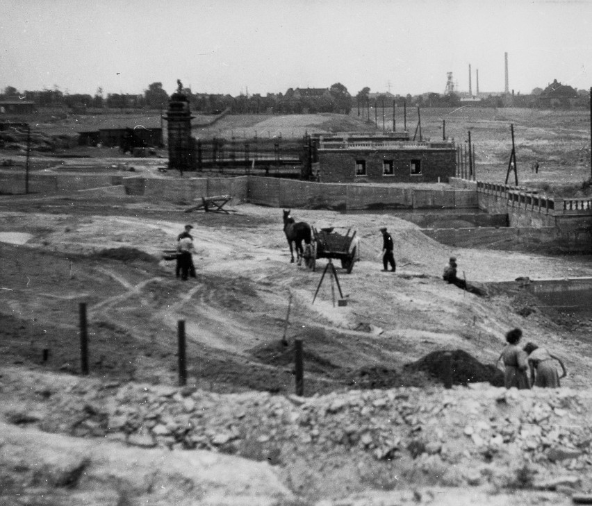Budowa chorzowskiego zoo. Zdjęcie z 1954 roku