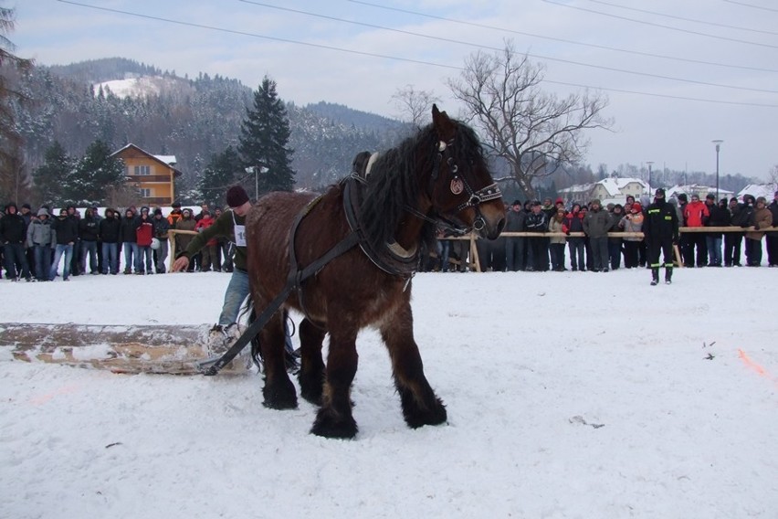 Węgierska Górka: Międzynarodowe Zawody Furmanów 2013 [ZOBACZ ZDJĘCIA]