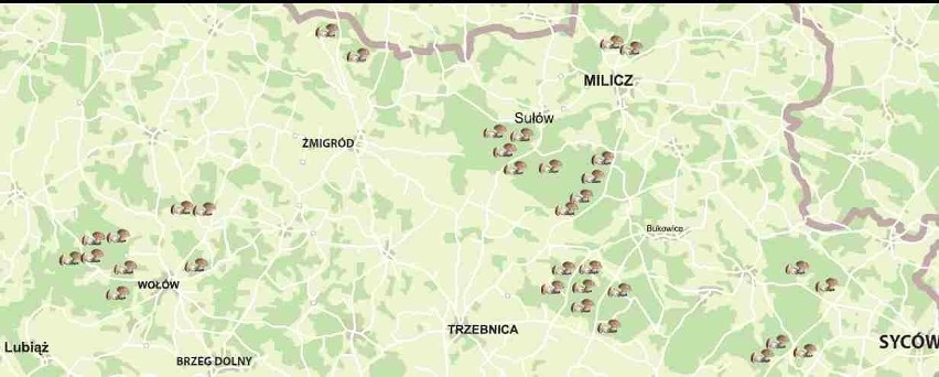Gdzie znajdziesz grzyby na Dolnym Śląsku (MAPY)