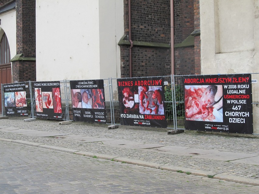 Wrocław: Krwawe zdjęcia płodów w drodze na Ostrów Tumski (ZDJĘCIA)