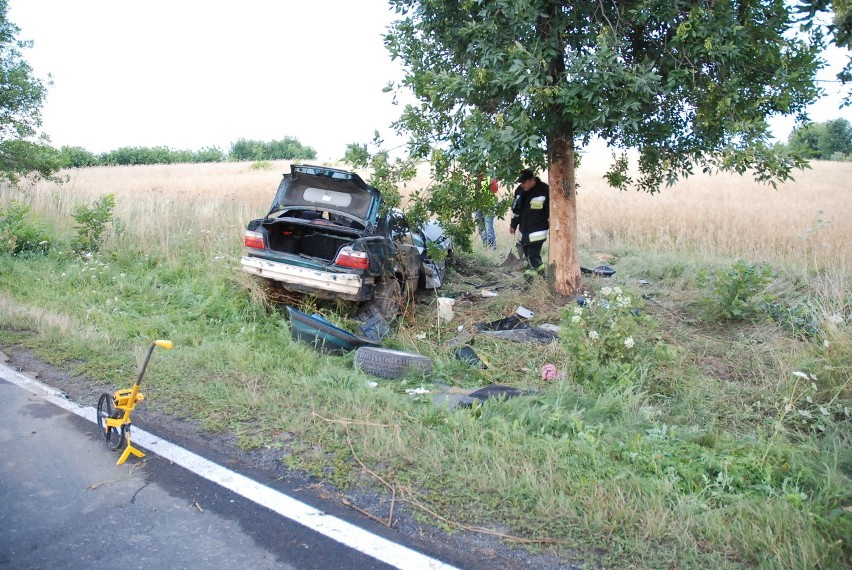 Kolonia Pałecznica: Stracił panowanie nad samochodem i uderzył w drzewo (ZDJĘCIA)