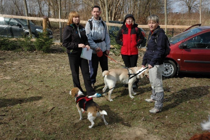 Pomorski Puchar Dogtrekkingu Zbychowo 2013 ZDJĘCIA