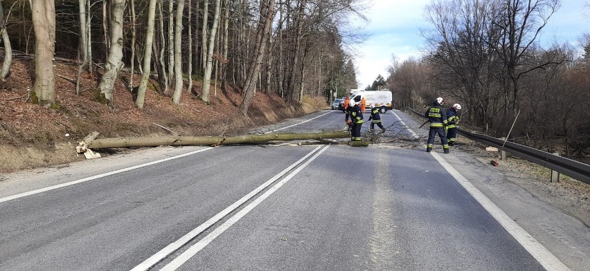 Silny wiatr znów zagrożeniem na Podkarpaciu. Już ponad 90 interwencji strażackich 