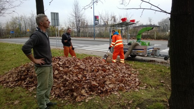 o nowym roku odpady zielone nadal trzeba dowozić do ZOM Mysłowice