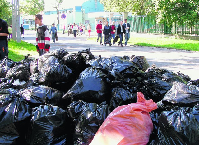 Co roku, podczas wrześniowego Sprzątania Świata w Tarnowie worki zapełniają się tonami plastikowych butelek, workami, opakowaniami po chipsach i drażach oraz innymi odpadami, które zamiast w koszach i kontenerach lądują w rowach, rzekach i lasach