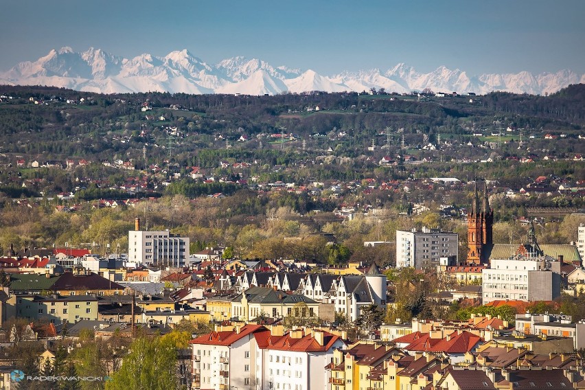 Tarnów z Tatrami w tle