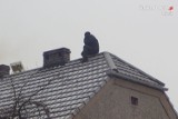 Rybnik: schował się przed policją... na dachu