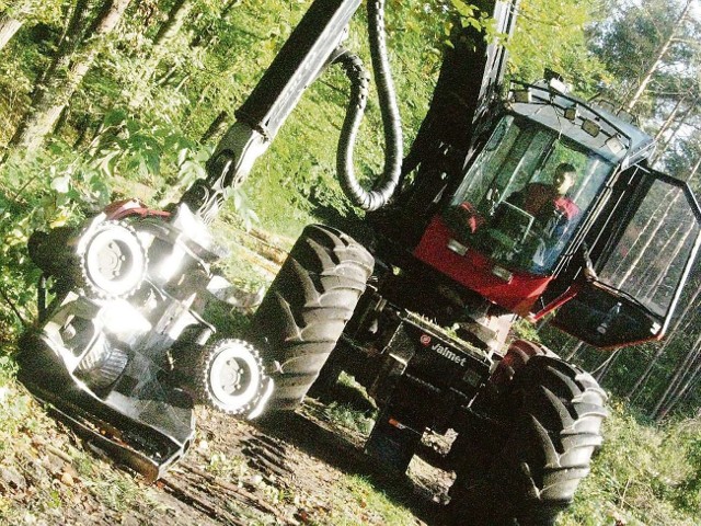 Wycinką drzew na Mierzei Wiślanej od tego roku zajmują się specjalistyczne maszyny