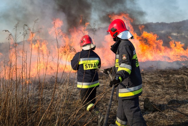 Pożar w okolicach torów kolejowych w Ełku