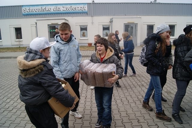 Podaj łapkę: w Niemcach uczniowie zebrali ponad 200 kg pokarmu dla psów i kotów