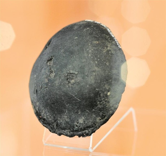 Najstarszą piłkę w Europie  można obejrzeć w muzeum na Mariackiej w Gdańsku