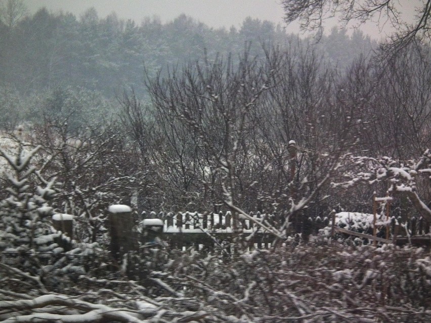 Śnieg zaskoczył w czwartek drogowców