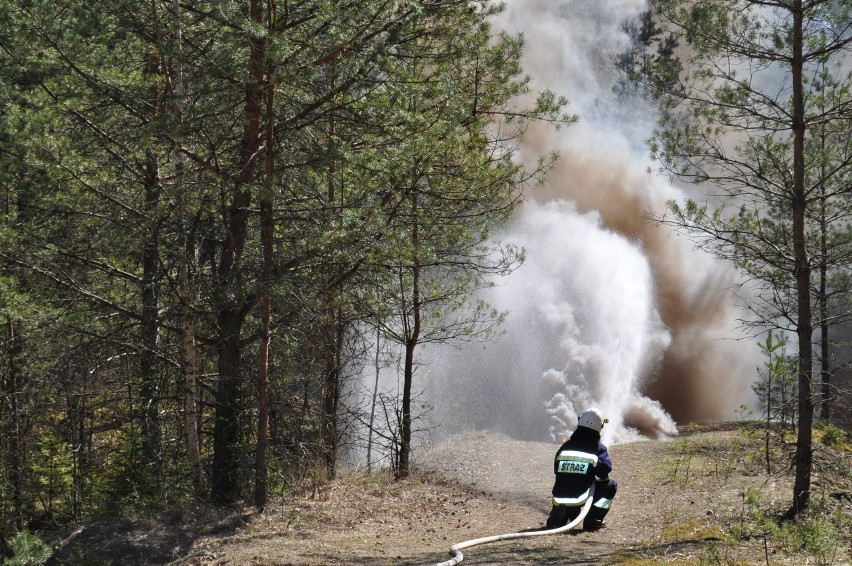 Gaszenie pożaru w Puszczy Białowieskiej  to tylko ćwiczenia