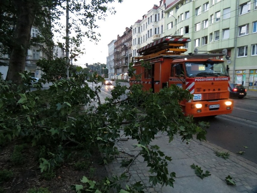 Wrocław: Tir zahaczył o drzewo
