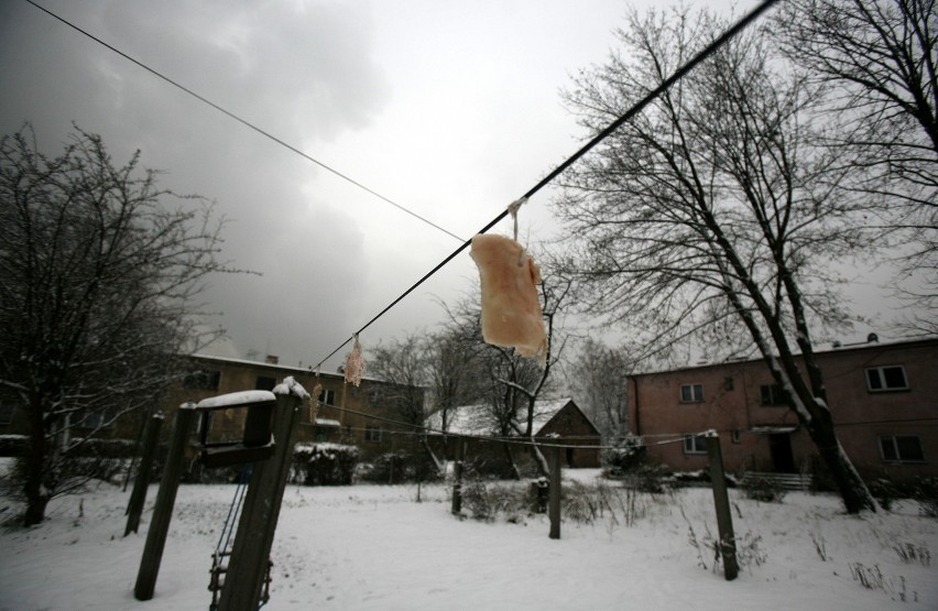 Osiedle Awaryjne w Jaworznie zniknie z ziemi. Mieszkańcy się przeprowadzają [ZDJĘCIA]