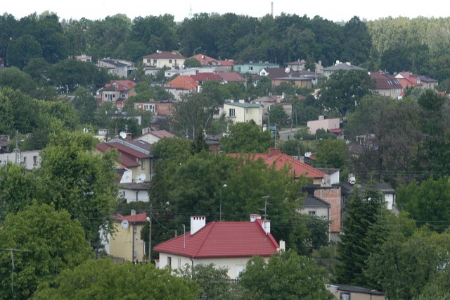 Urzędnicy zadbali o chronione płazy żyjące w stawach na prywatnych działkach