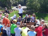 Ponad setka uczniów zawitała do Parku Śląskiego. Wśród atrakcji sadzenie roślin, lekcje z przyrodnikiem, dendrologiem i ornitologiem