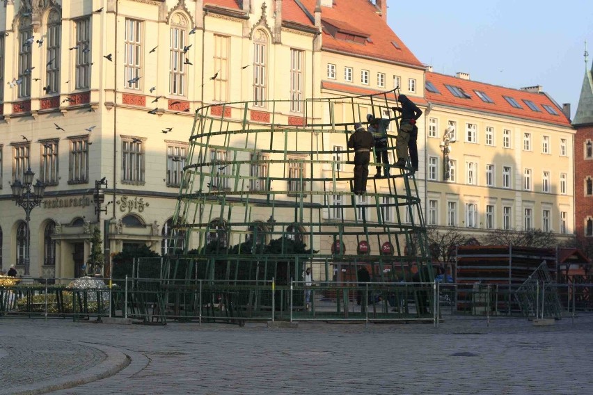 Wrocław: Na Rynku już stawiają wielką choinkę (ZDJĘCIA)