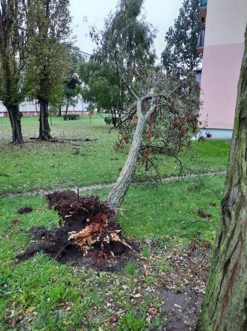 Okolice Świętego Ducha i Mieszka I w Inowrocławiu