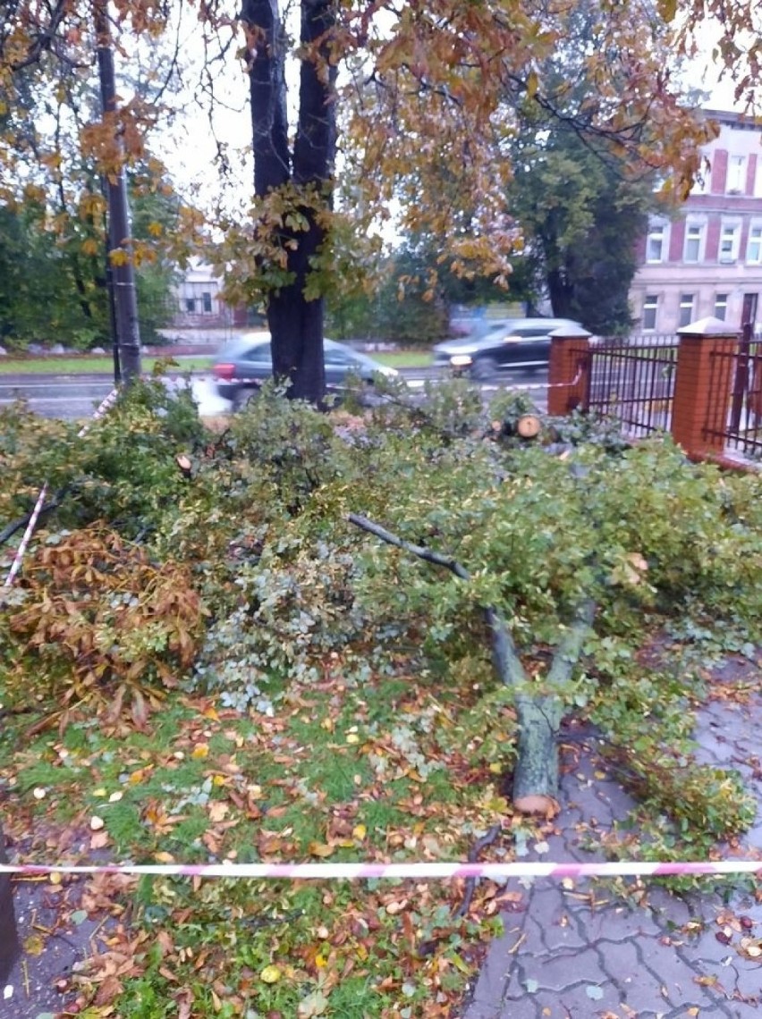 Okolice Świętego Ducha i Mieszka I w Inowrocławiu