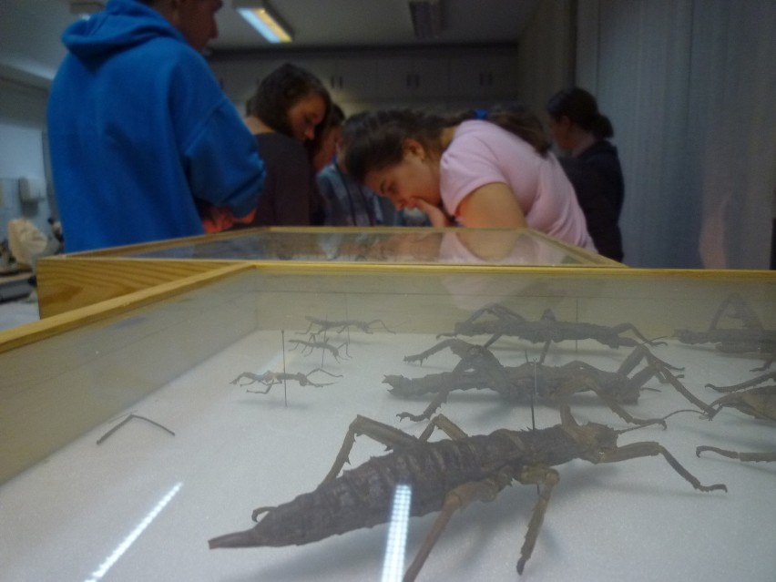 Noc Biologów na Uniwersytecie Śląskim [ZDJĘCIA]