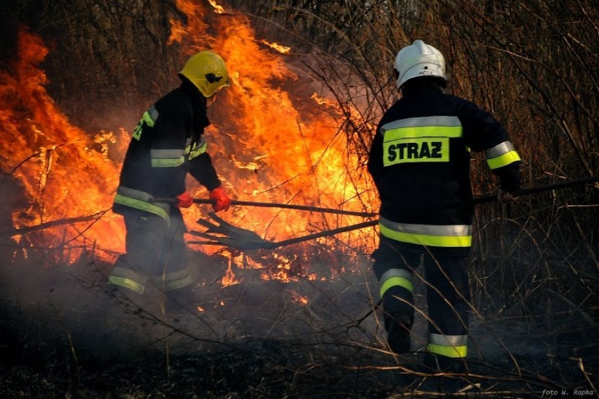 Pożary traw w całym regionie. To plaga, czesto głupoty ludzkiej