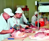 Radni z Jastrzębia na wycieczce w zakładzie mięsnym