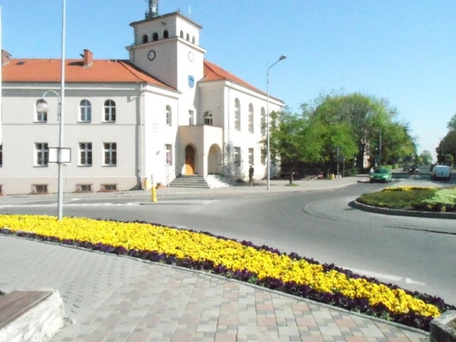 Bratki przed urzędem miejskim w Łaziskach Górnych