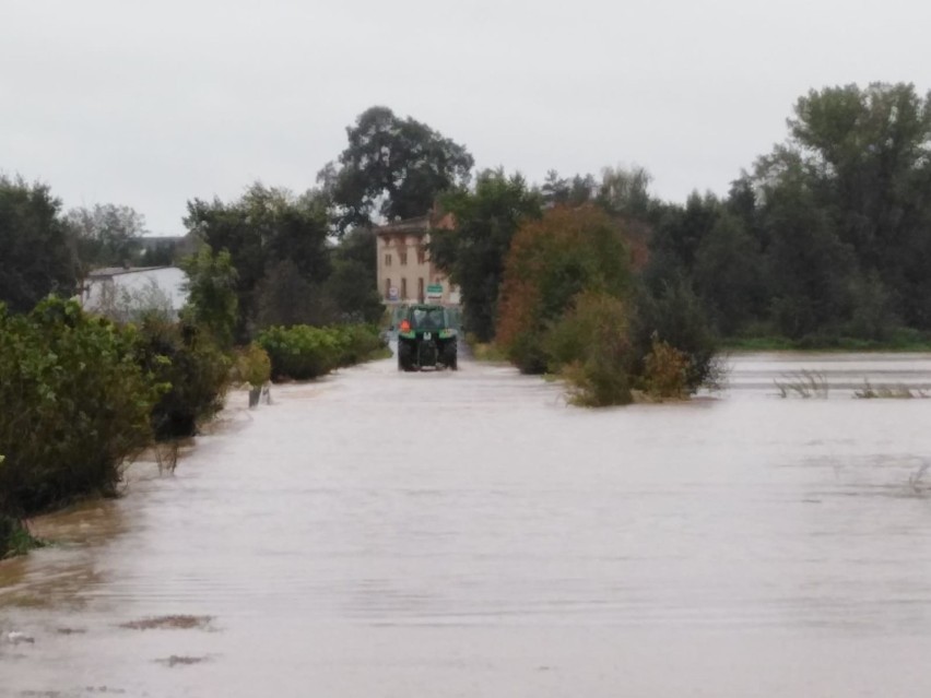 Powódź 2020 - Racławice Śląskie, Lubrza, Głuchołazy. Woda zalewa drogi na południu Opolszczyzny. 