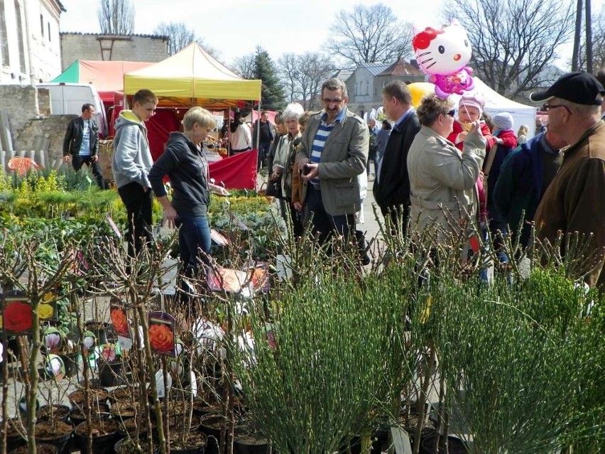 Agro Targi w Starej Łubiance już po raz 22.