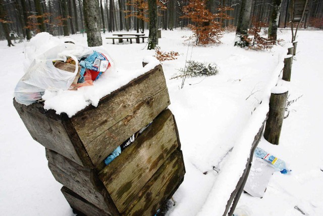 Za wyrzucanie śmieci w miejscach niedozwolonych grozi mandat