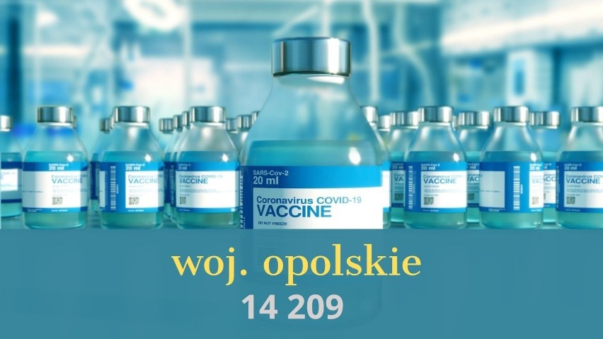 Ponad pół miliona Polaków zaszczepionych przeciwko COVID-19. Tutaj zaszczepiono najwięcej osób [najnowsze dane]