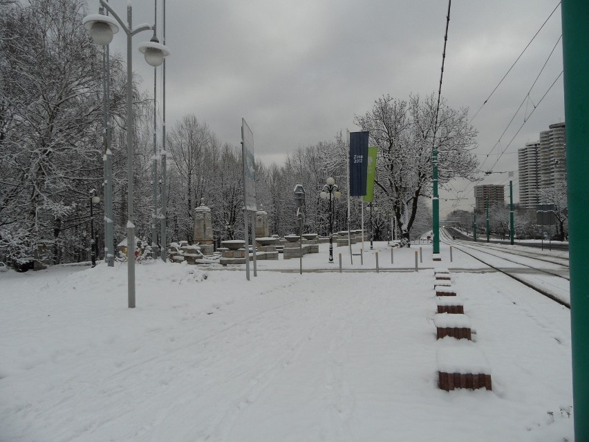 Park Śląski będzie miał nowy wjazd. Aleja Główna zostanie zamknięta dla ruchu [ZDJĘCIA]