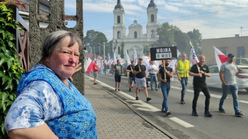 ARiMR wypłaca pieniądze za straty na sprzedaży świń z tytułu...