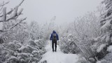 Śnieg w Beskidach. W góry wróciła zima, sypnęło do 25 cm śniegu [ZDJĘCIA]