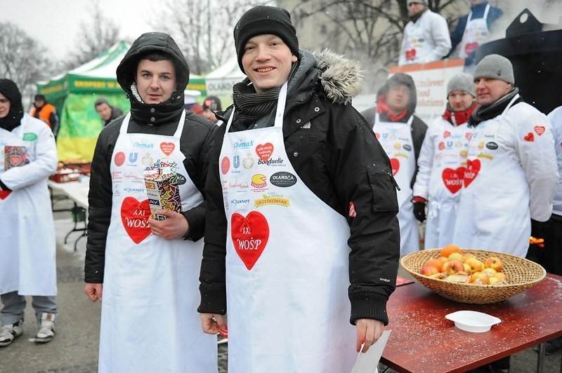 WOŚP w Poznaniu: Wielki festyn przed Zamkiem