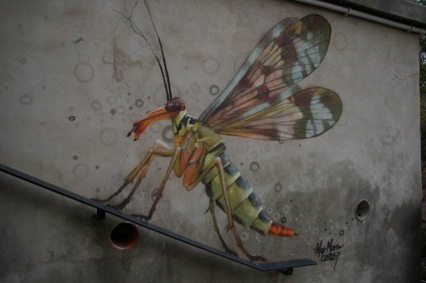 Mgr Mors maluje w Gorlicach kolejne owady. Dzisiaj powstała modliszka