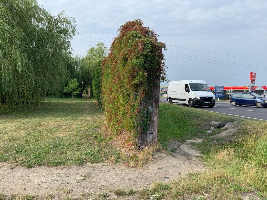 Zaniepokojeni mieszkańcy osiedla Heleny apelują do władz