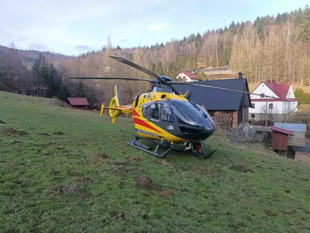 Służby ratownicze podczas interwencji w Wiśle.