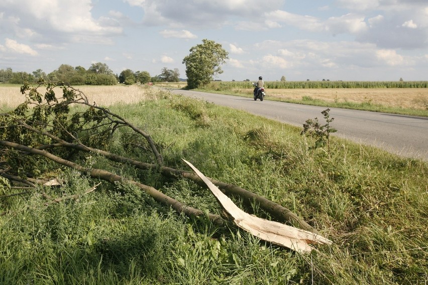 Żarnowiec: Zobacz, jak wygląda krajobraz po nawałnicy [ZDJĘCIA]