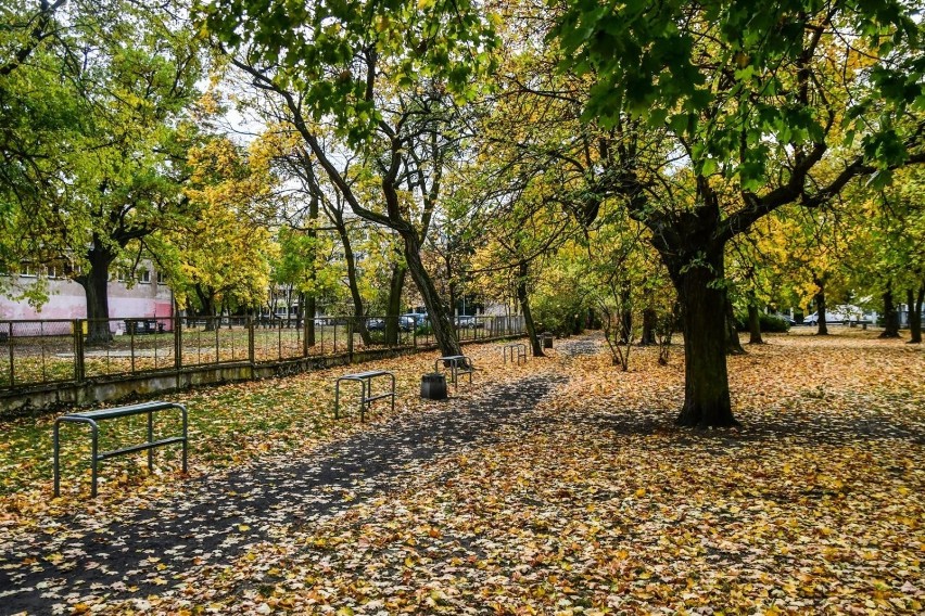 Skwer Inwalidów Wojennych na Osiedlu Leśnym do rewitalizacji. Co się tam zmieni?