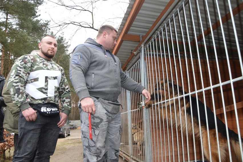 Karwat, Abus i Radzikowski przekazali Schronisku dla Zwierząt w Łowiczu karmę dla psów [ZDJĘCIA]
