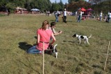 Animaliówka 2012: Piknik z psem nad Rusałką