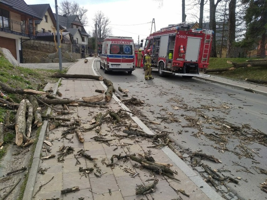 Tragiczny wypadek w Zakopanem. Drzewo spadło ja jadący samochód. Nie żyje młoda kobieta. Droga z Zakopanego na Cyrhlę zamknięta